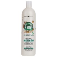 Champú efecto anti-frizz Provitamina B5, Omega 9, Aloe Vera y aceite de Jojoba